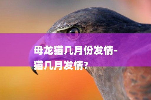 母龍貓幾月份發情-
貓幾月發情?