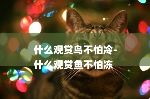 什么觀賞鳥不怕冷-
什么觀賞魚不怕凍