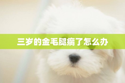 三歲的金毛腿瘸了怎么辦