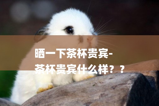 曬一下茶杯貴賓-
茶杯貴賓什么樣？？