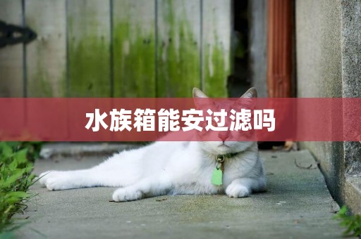 水族箱能安過濾嗎