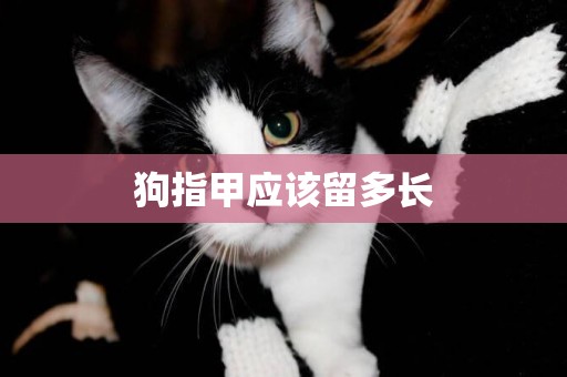狗指甲應該留多長