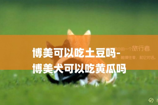 博美可以吃土豆嗎-
博美犬可以吃黃瓜嗎
