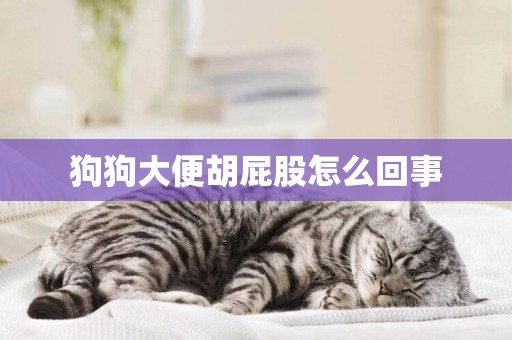 狗狗大便胡屁股怎么回事