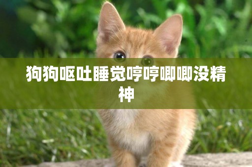 狗狗嘔吐睡覺哼哼唧唧沒精神