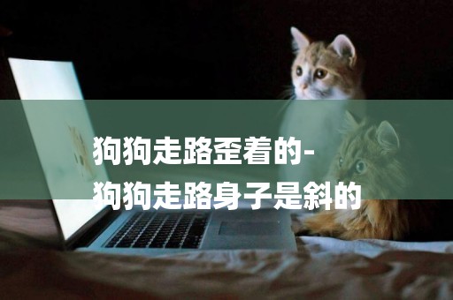 狗狗走路歪著的-
狗狗走路身子是斜的
