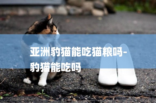 亞洲豹貓能吃貓糧嗎-
豹貓能吃嗎
