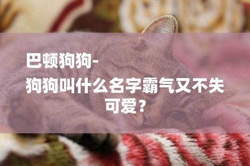 巴頓狗狗-
狗狗叫什么名字霸氣又不失可愛？