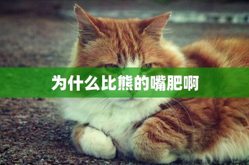為什么比熊的嘴肥啊