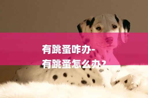 有跳蚤咋辦-
有跳蚤怎么辦？
