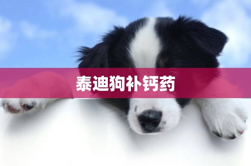 泰迪狗補鈣藥