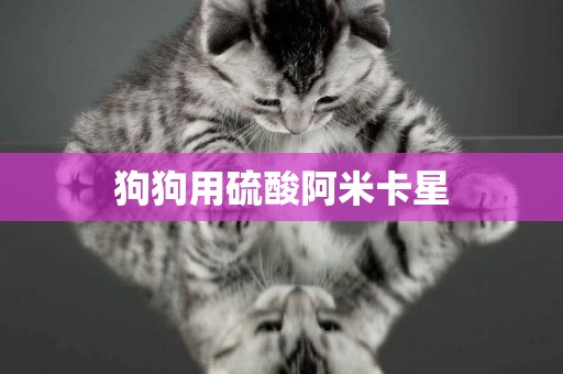 狗狗用硫酸阿米卡星