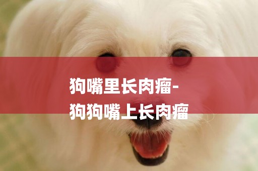 狗嘴里長肉瘤-
狗狗嘴上長肉瘤