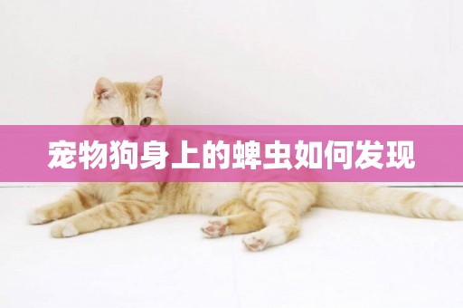 寵物狗身上的蜱蟲如何發現
