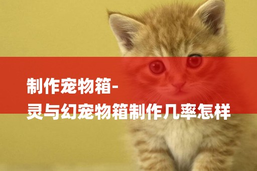 制作寵物箱-
靈與幻寵物箱制作幾率怎樣