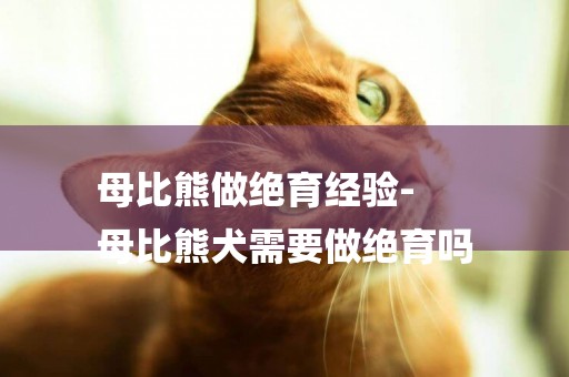 母比熊做絕育經驗-
母比熊犬需要做絕育嗎