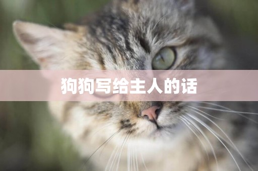 狗狗寫給主人的話