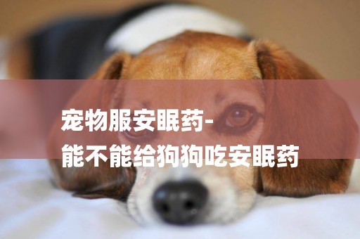 寵物服安眠藥-
能不能給狗狗吃安眠藥