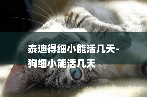 泰迪得細小能活幾天-
狗細小能活幾天