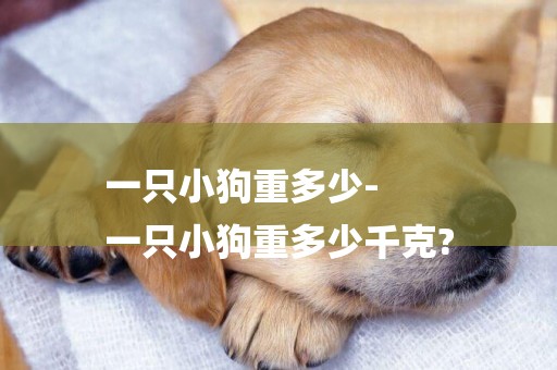 一只小狗重多少-
一只小狗重多少千克?