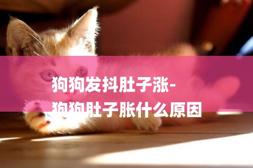 狗狗發抖肚子漲-
狗狗肚子脹什么原因