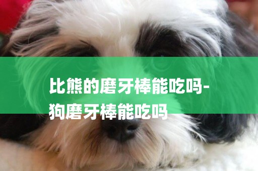 比熊的磨牙棒能吃嗎-
狗磨牙棒能吃嗎
