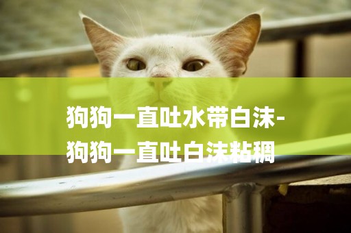 狗狗一直吐水帶白沫-
狗狗一直吐白沫粘稠