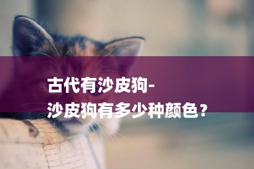 古代有沙皮狗-
沙皮狗有多少種顏色？