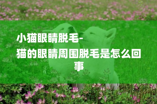 小貓眼睛脫毛-
貓的眼睛周圍脫毛是怎么回事