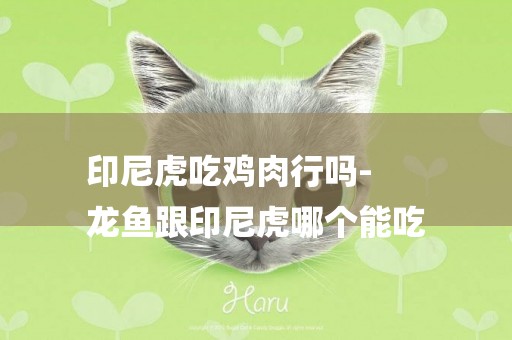 印尼虎吃雞肉行嗎-
龍魚跟印尼虎哪個能吃