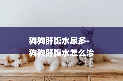 狗狗肝腹水尿多-
狗狗肝腹水怎么治