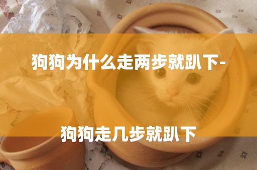 狗狗為什么走兩步就趴下-
狗狗走幾步就趴下