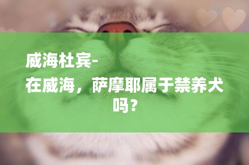 威海杜賓-
在威海，薩摩耶屬于禁養犬嗎？