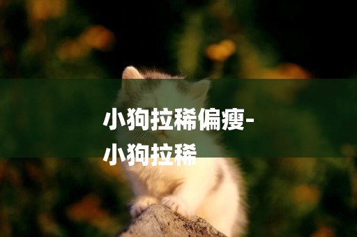 小狗拉稀偏瘦-
小狗拉稀