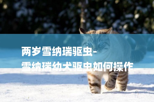 兩歲雪納瑞驅蟲-
雪納瑞幼犬驅蟲如何操作