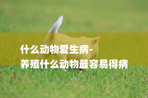 什么動物愛生病-
養殖什么動物最容易得病