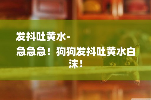 發抖吐黃水-
急急急！狗狗發抖吐黃水白沫！