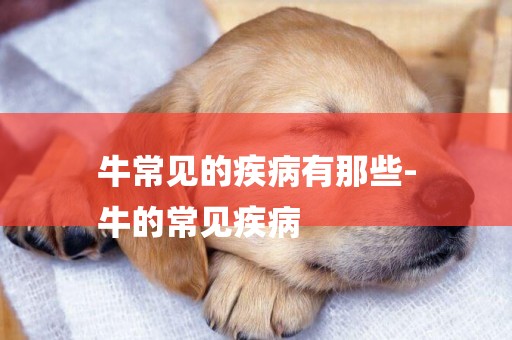 牛常見的疾病有那些-
牛的常見疾病