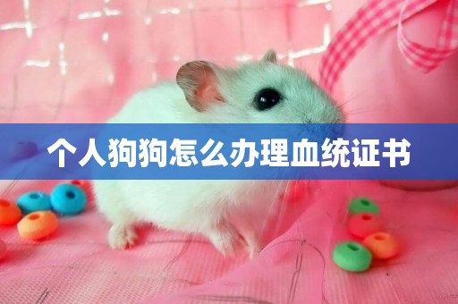 個人狗狗怎么辦理血統證書