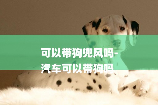 可以帶狗兜風嗎-
汽車可以帶狗嗎