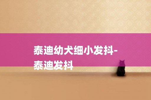 泰迪幼犬細小發抖-
泰迪發抖