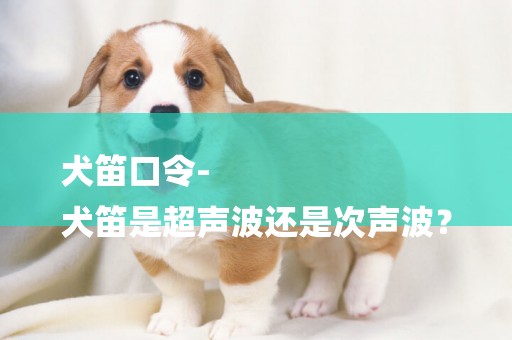 犬笛口令-
犬笛是超聲波還是次聲波？