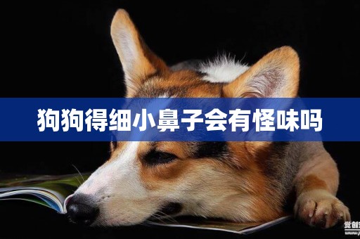 狗狗得細小鼻子會有怪味嗎