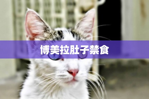 博美拉肚子禁食