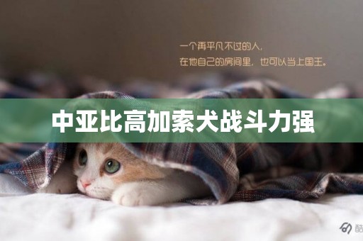 中亞比高加索犬戰斗力強