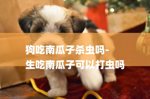 狗吃南瓜子殺蟲嗎-
生吃南瓜子可以打蟲嗎