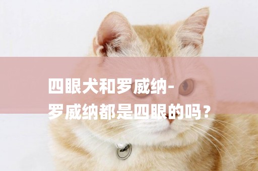 四眼犬和羅威納-
羅威納都是四眼的嗎？
