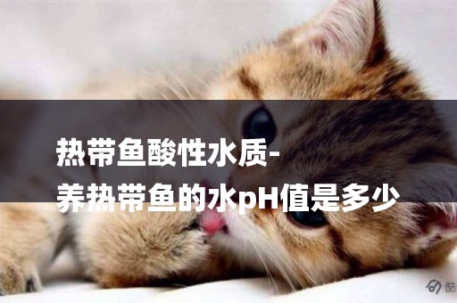 熱帶魚酸性水質-
養熱帶魚的水pH值是多少