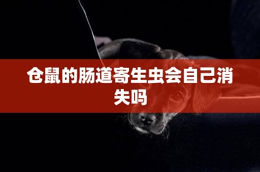 倉鼠的腸道寄生蟲會自己消失嗎