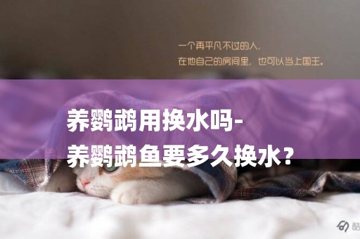 養鸚鵡用換水嗎-
養鸚鵡魚要多久換水？